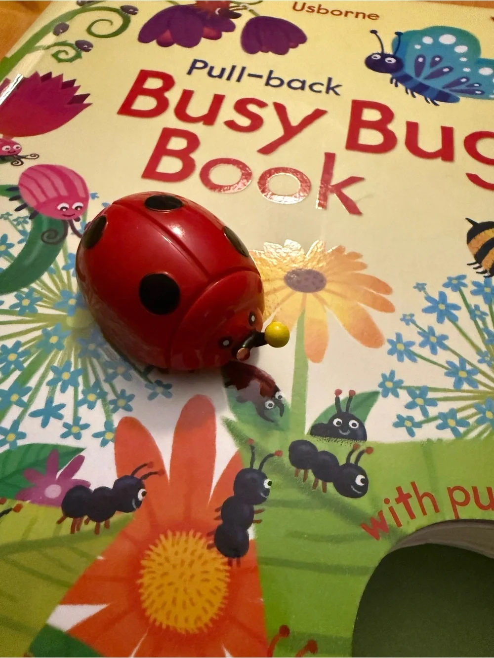 Usborne Pull-back Busy Bug Book